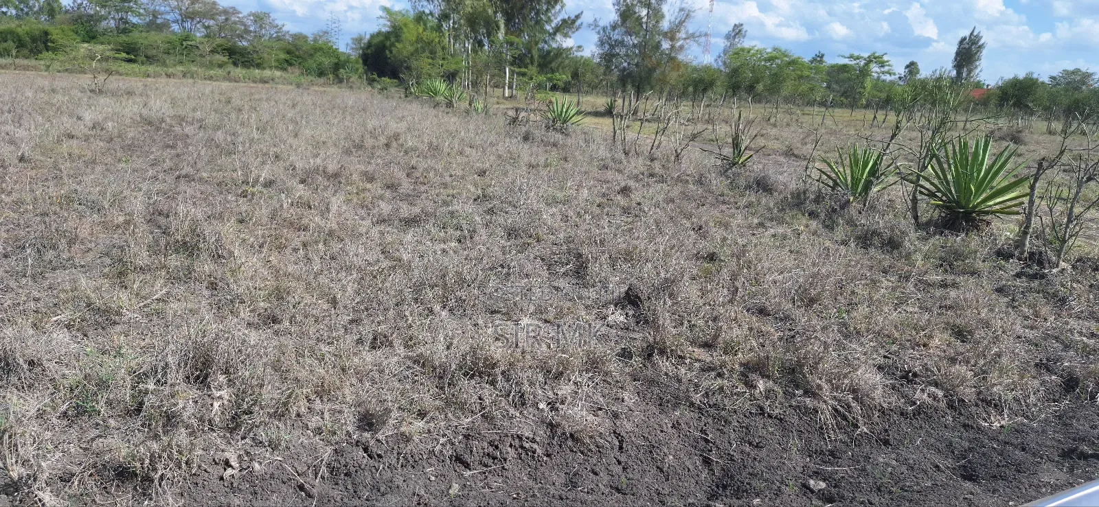 3 Plots for Sale