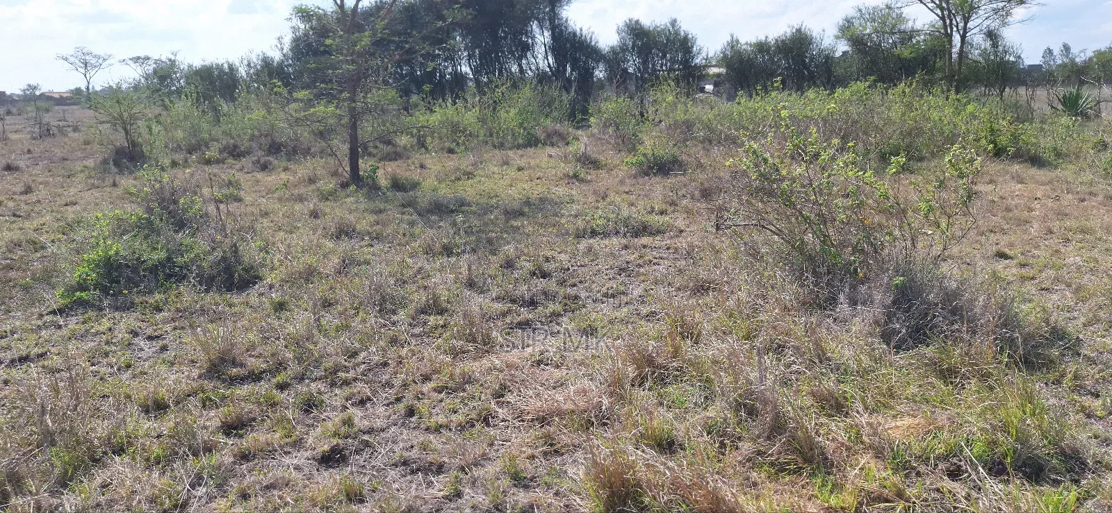 3 Plots for Sale