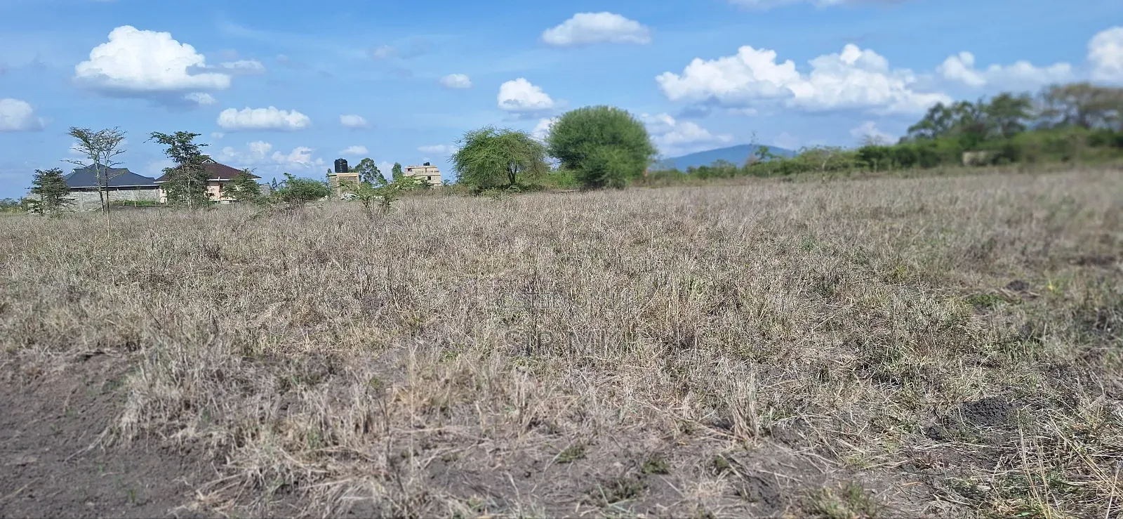 3 Plots for Sale