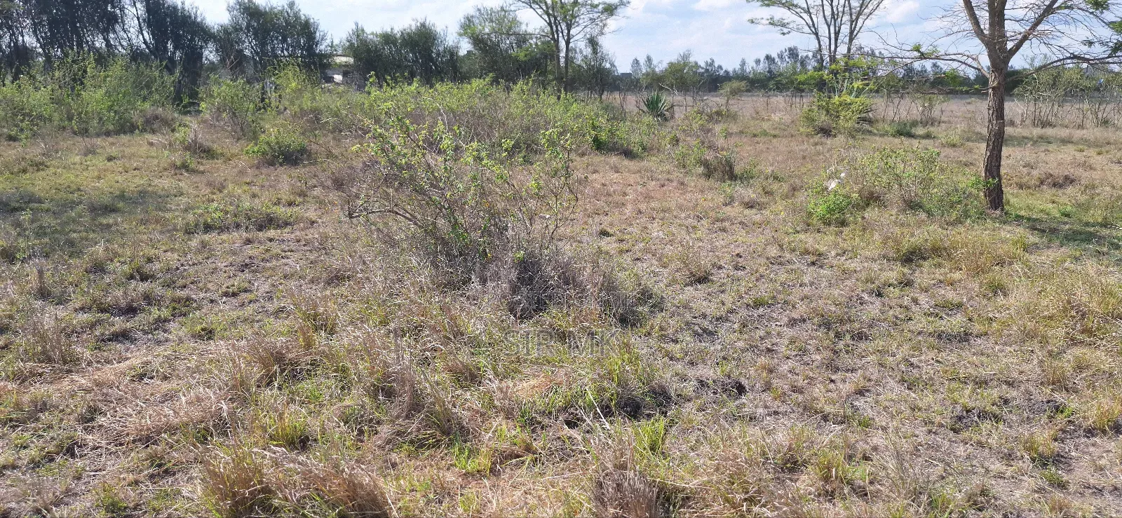 3 Plots for Sale