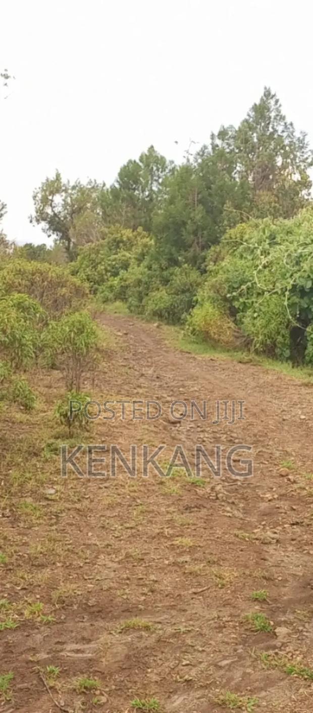 Land 3 Acres