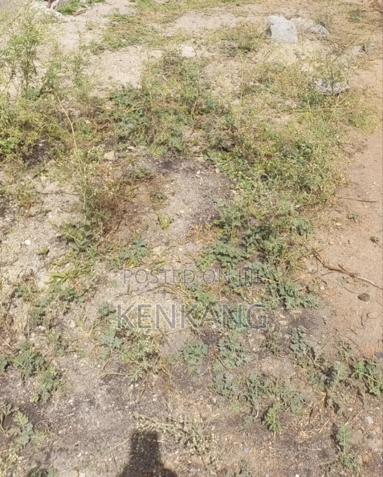 Land 3 Acres