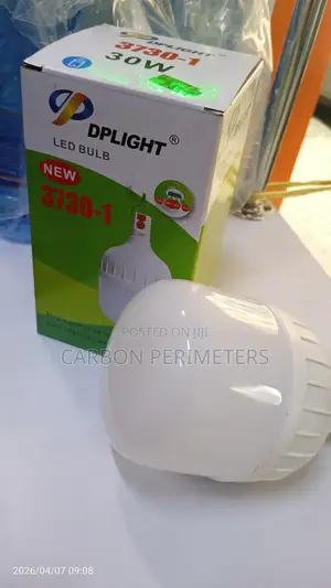30watts Dplight Rechargeable Bulbs