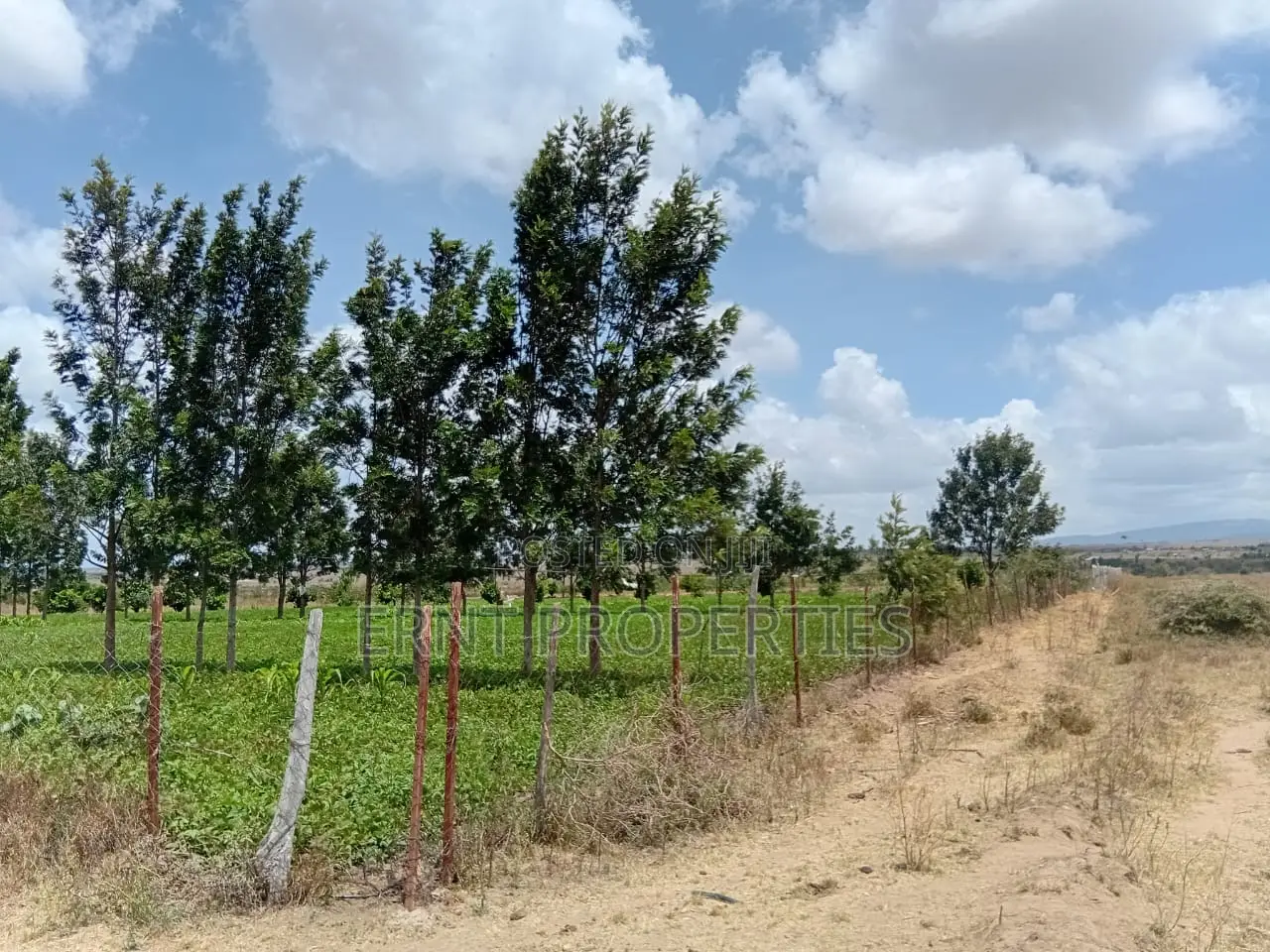 Subdivision Goldmine: 3 Acres in Kinanie Kwambo | Near Leather Park!
