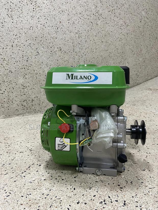 Milano Gasoline/ Petrol Agricultural Engine 8hp