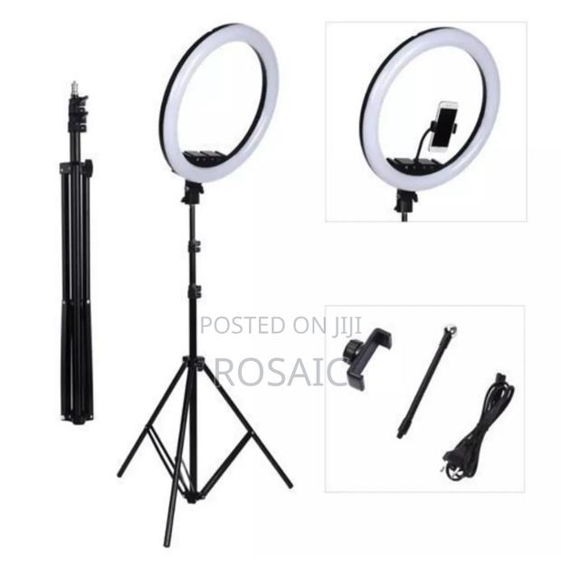 12" Ring Light