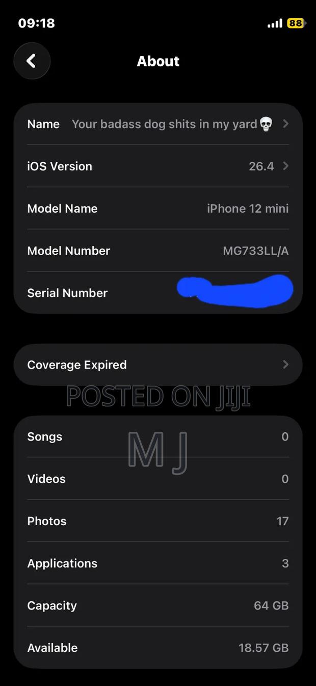 Apple iPhone 12 mini 64 GB Blue - thumbnail 5