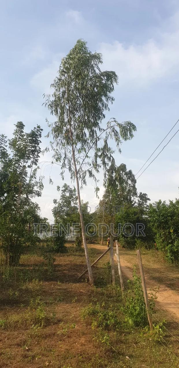 Land for Sale - thumbnail 3