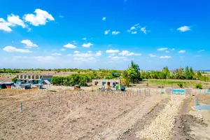1/4 Acre Plots for Sale in Malaa