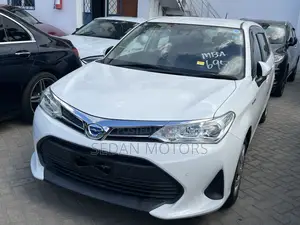 Toyota Corolla Fielder 2019 Pearl