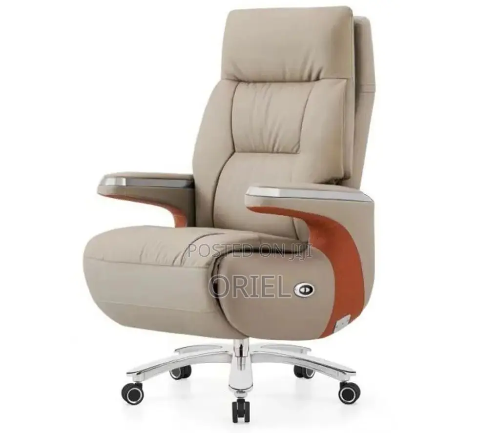Office Executive Chair : Luxury Reclining Office Ergonomic Chair