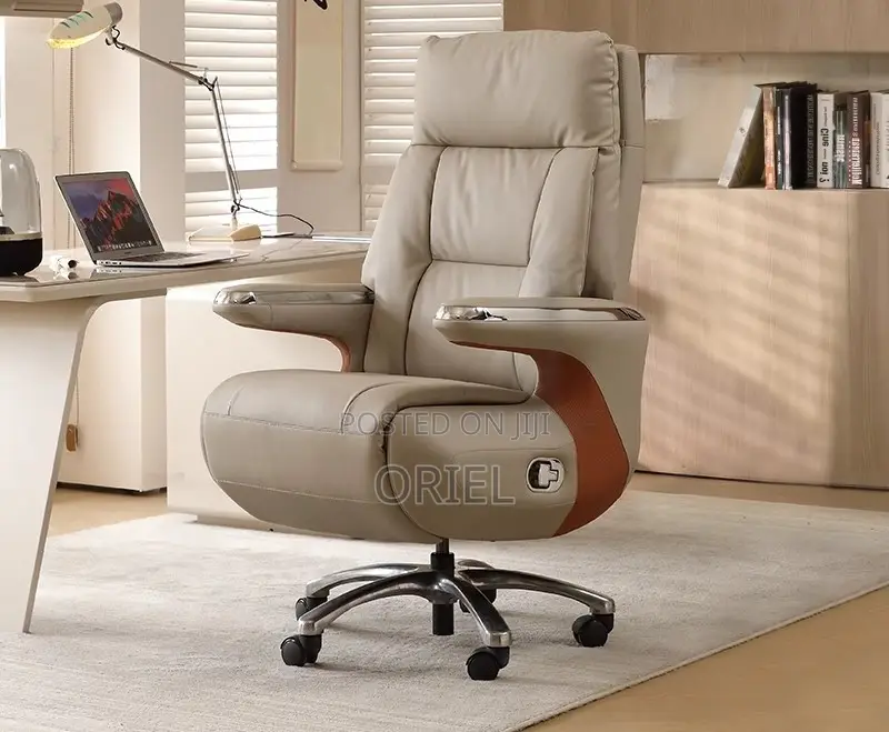 Office Executive Chair : Luxury Reclining Office Ergonomic Chair