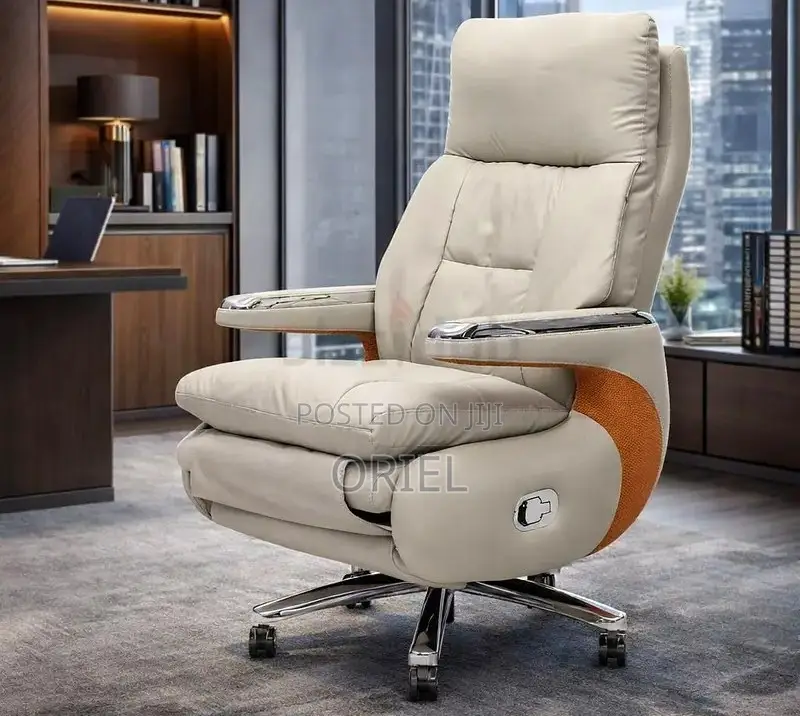 Office Executive Chair : Luxury Reclining Office Ergonomic Chair