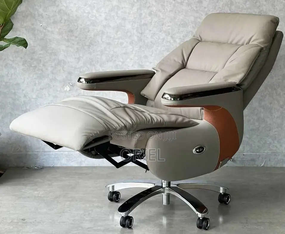 Office Executive Chair : Luxury Reclining Office Ergonomic Chair