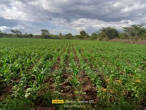 8acres Withare Gobit Laikipia.