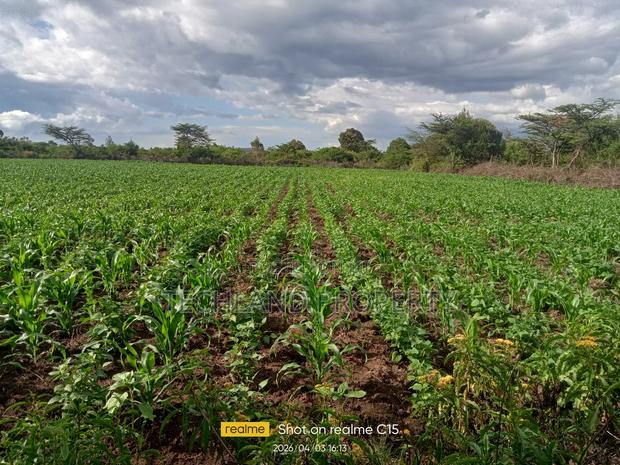 8acres Withare Gobit Laikipia.