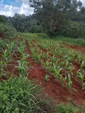 Half an Acre - Mua Hills -Machakos.