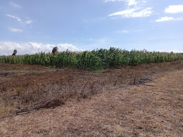 5.5acres Kiambogo Nairutia Laikipia.