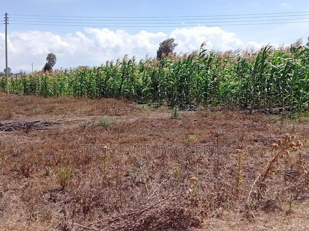5.5acres Kiambogo Nairutia Laikipia. - thumbnail 2