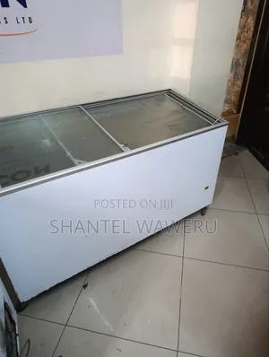 500itres Display Freezer
