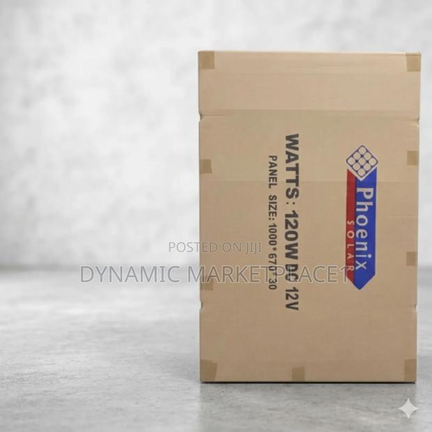 Phoenix Solar 120w Mono Panel. - main view