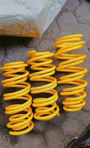 Monroe Heavy Duty Springs