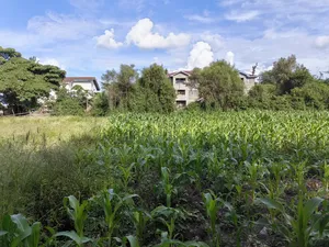 100x100 Plot for Sale in Ruai