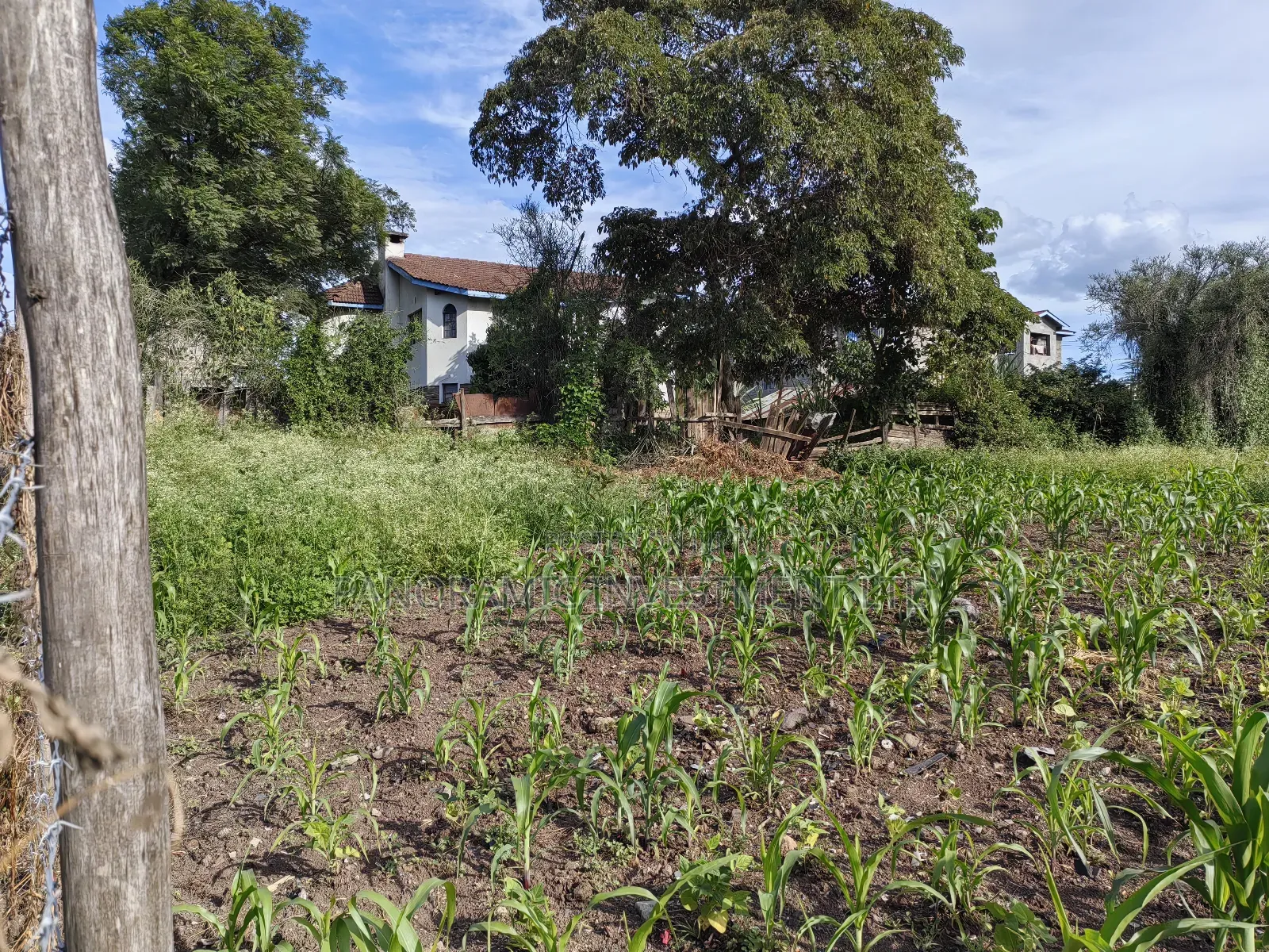 100x100 Plot for Sale in Ruai