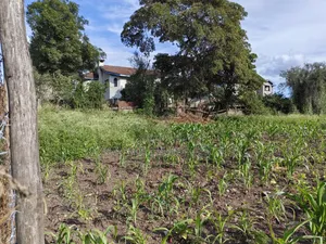 100x100 Plot for Sale in Ruai