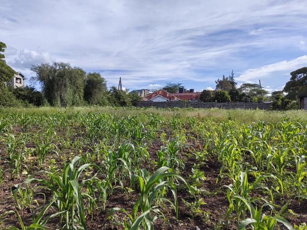100x100 Plot for Sale in Ruai - thumbnail 6
