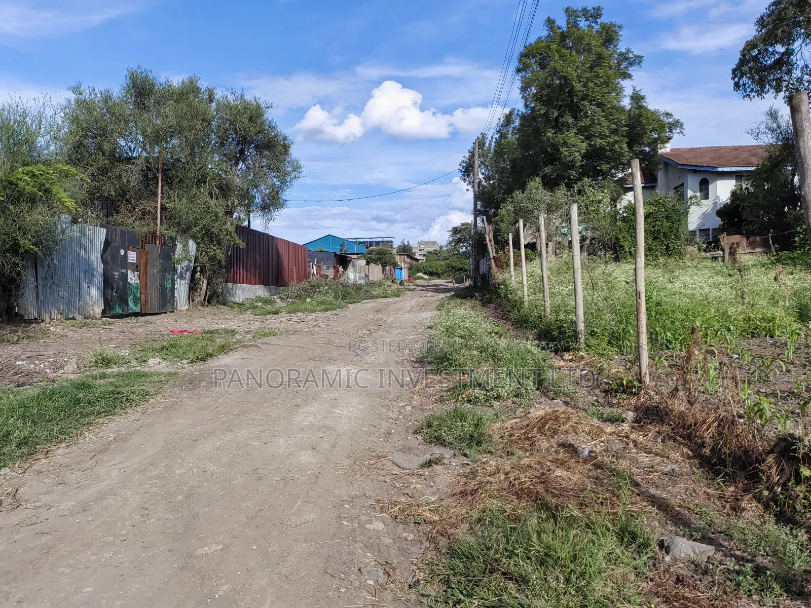 100x100 Plot for Sale in Ruai
