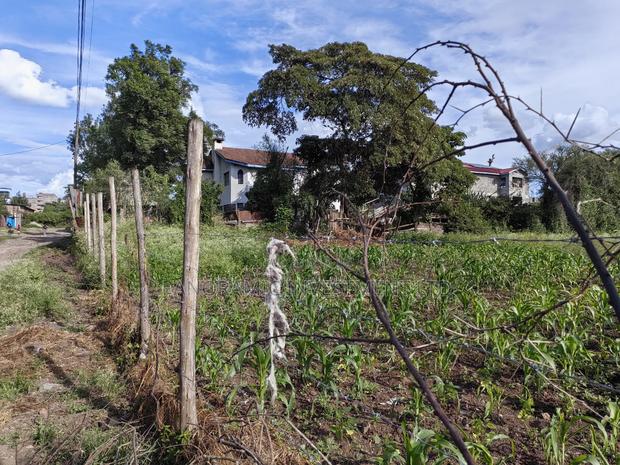 100x100 Plot for Sale in Ruai - thumbnail 8