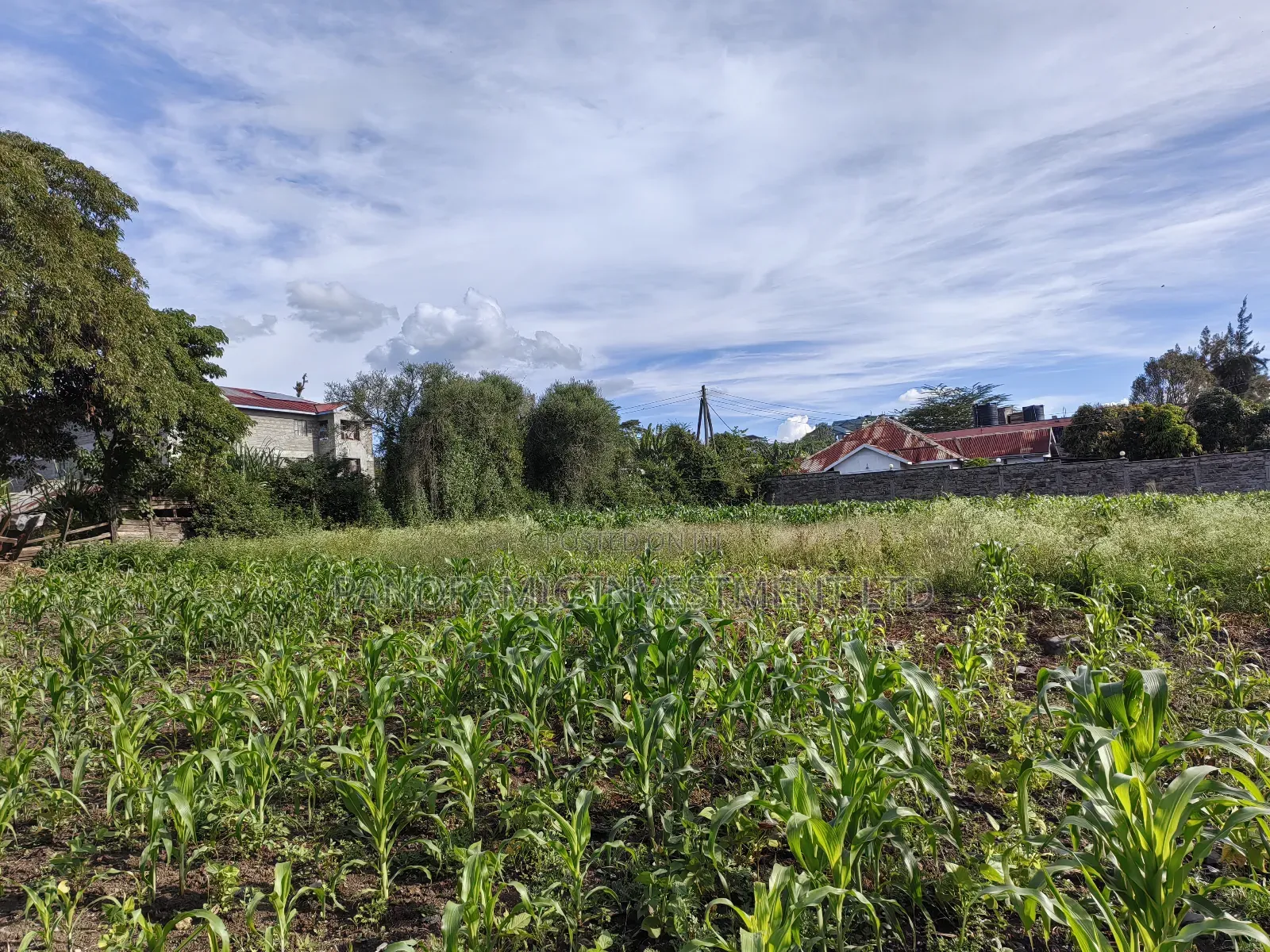 100x100 Plot for Sale in Ruai