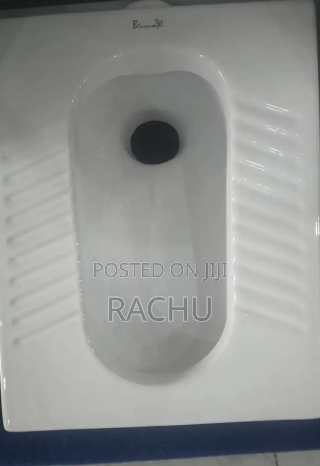 Step Asian Toilet