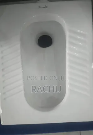 Step Asian Toilet