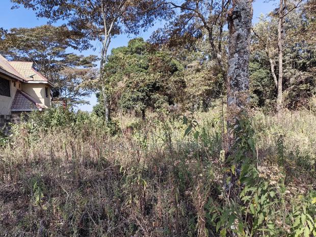 Half of an Acre for Sale in Ondiri Kikuyu Kiambu County. - thumbnail 2