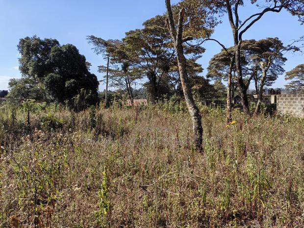 Half of an Acre for Sale in Ondiri Kikuyu Kiambu County. - thumbnail 3