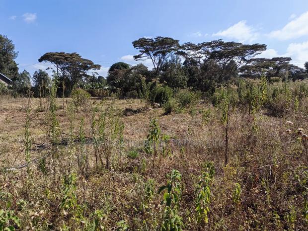 Half of an Acre for Sale in Ondiri Kikuyu Kiambu County. - thumbnail 4