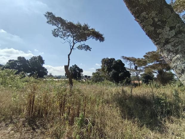 Half of an Acre for Sale in Ondiri Kikuyu Kiambu County. - thumbnail 6