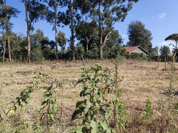 Half of an Acre for Sale in Ondiri Kikuyu Kiambu County. - thumbnail 7