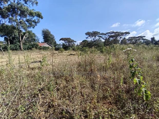 Half of an Acre for Sale in Ondiri Kikuyu Kiambu County. - thumbnail 9