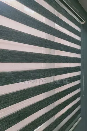 Elegant Zebra Blinds for Indoor Window Covering and Light Control