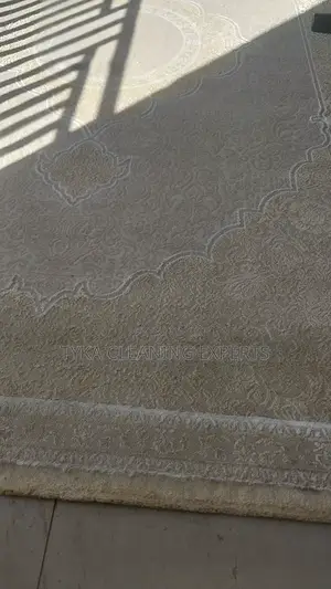 Upholstery/Carpet Cleaning