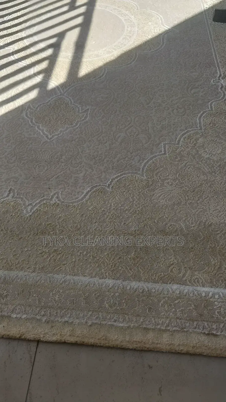 Upholstery/Carpet Cleaning