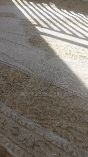 Upholstery/Carpet Cleaning