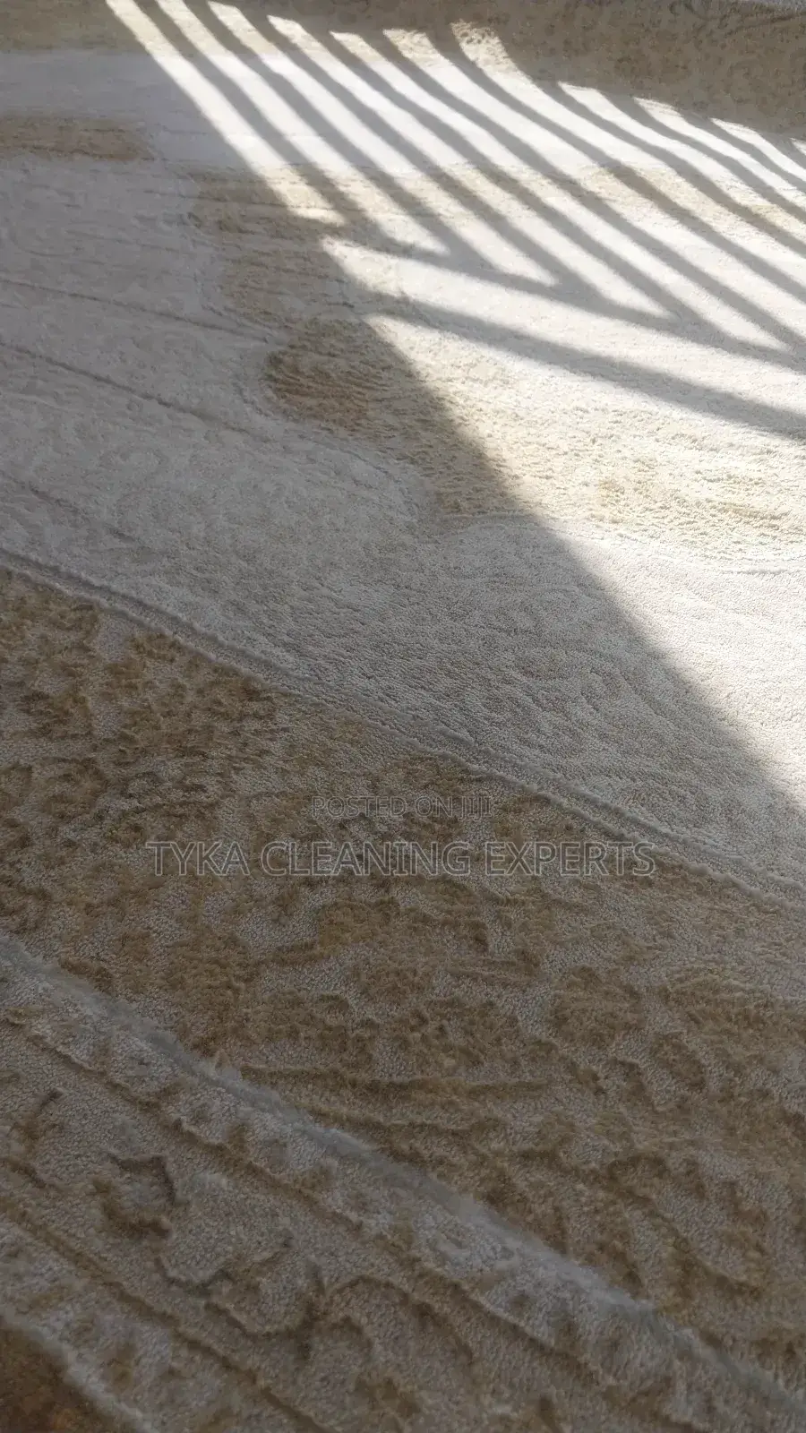 Upholstery/Carpet Cleaning