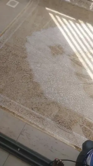 Upholstery/Carpet Cleaning