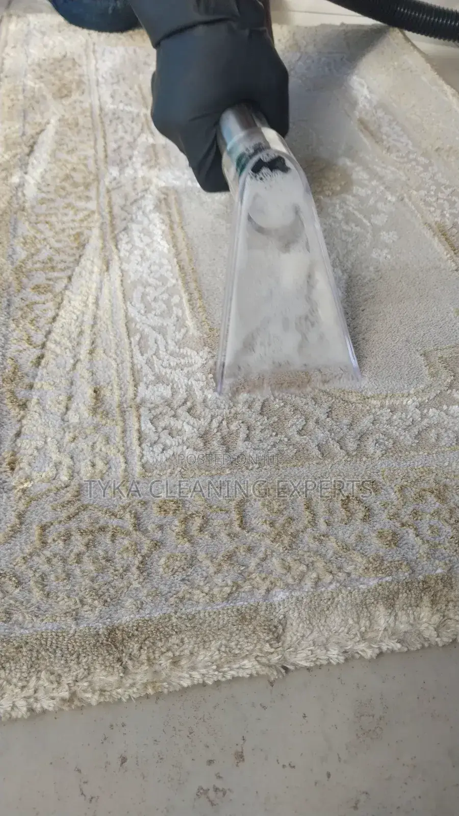 Upholstery/Carpet Cleaning
