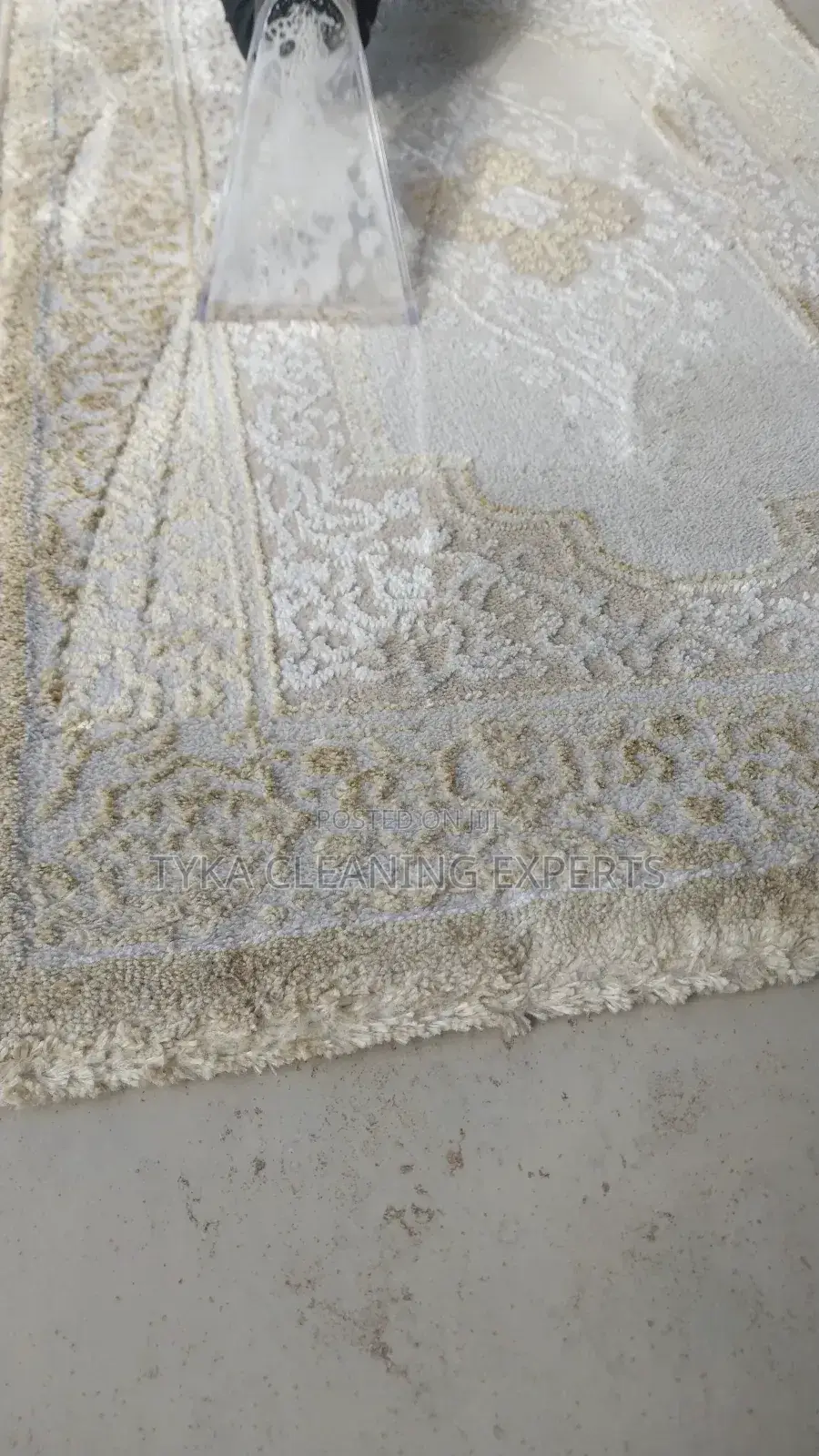 Upholstery/Carpet Cleaning