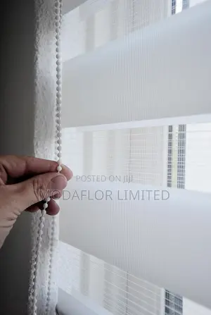 Zebra Window Blinds for Home, Office and Modern Interior Spaces